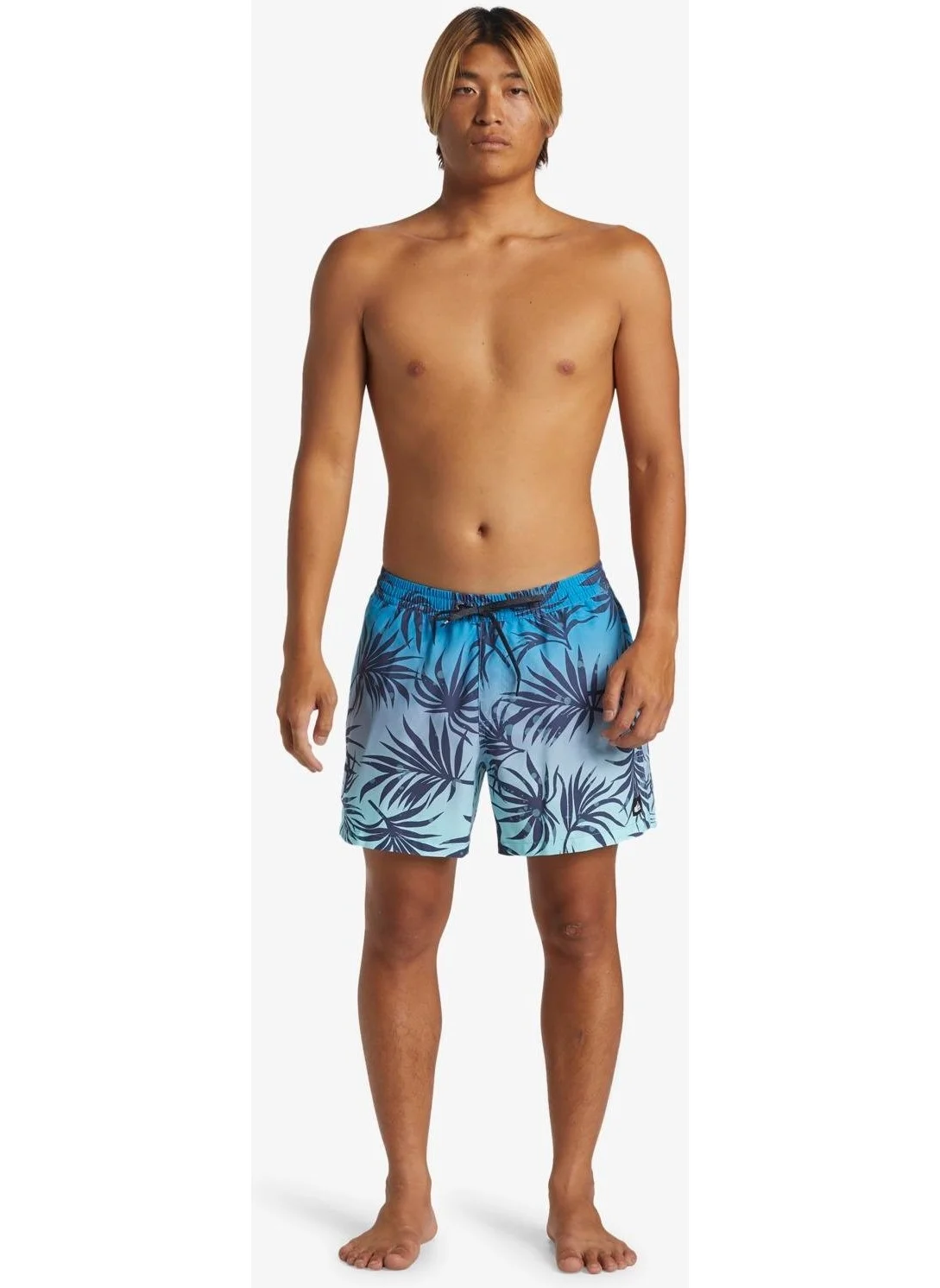 QUIKSILVER Everyday Mix Volley 15 Men's Swim Shorts