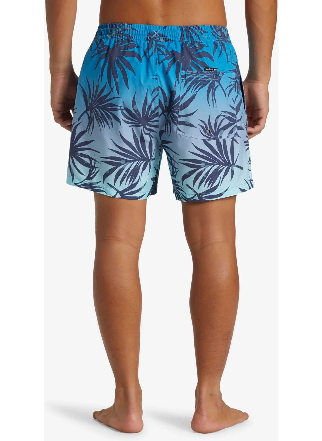 QUIKSILVER Everyday Mix Volley 15 Men's Swim Shorts