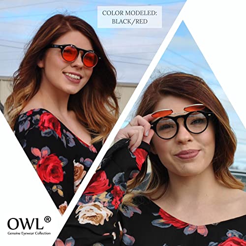 OWL Flip Up Steampunk Vintage Retro Round Circle Gothic Hippie Colored Plastic Frame Sunglasses Brown Lens OWL - Image 3