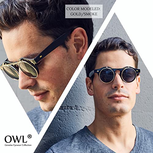 OWL Flip Up Steampunk Vintage Retro Round Circle Gothic Hippie Colored Plastic Frame Sunglasses Brown Lens OWL - Image 4