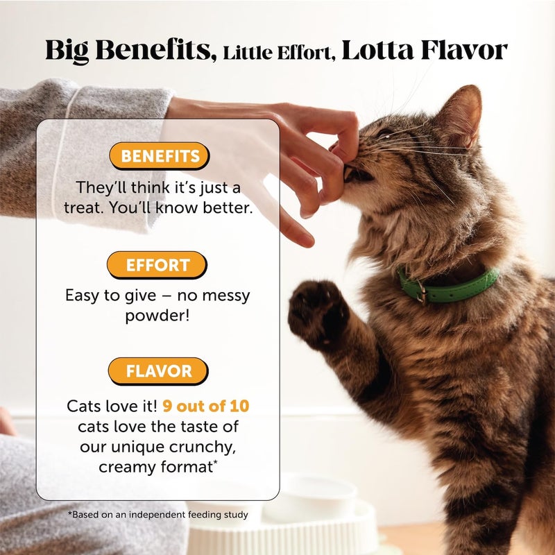 Pet Honesty Cat Immune Support Lysine â€“ Allergy Relief & Immune Health Supplement for Cats with L-Lysine, Colostrum, Quercetin & Omega-3 â€“ Soothes Sneezing, Runny Nose & Itchy Skin Chicken, (30-Day Supply) - Image 4