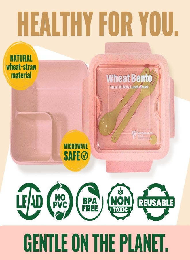 GreenLunch Bento علبة غداء بينتو قابلة للتحلل الحيوي من ويت وير، حاوية تخزين طعام ووجبات خفيفة للأطفال، طقم علبة غداء بينتو من قش القمح للأطفال - وردي - Image 5