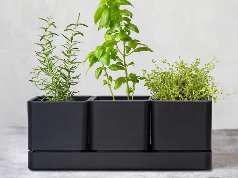D'vine Dev Herb Garden Planter Set, Plastic Plant Pots with Drainage and Saucer, Indoor Succulent Cactus Vegetable Pot for Windowsill, Garden Balcony, Black, Set of 2, 76-V-B-2 - Image 2