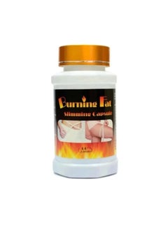 Burning fat pills (to burn fat) - pzsku/ZD95F7B1CA71C9614419CZ/45/_/1740082030/93156d76-89e6-46fe-9f3d-90acf4bcbeca