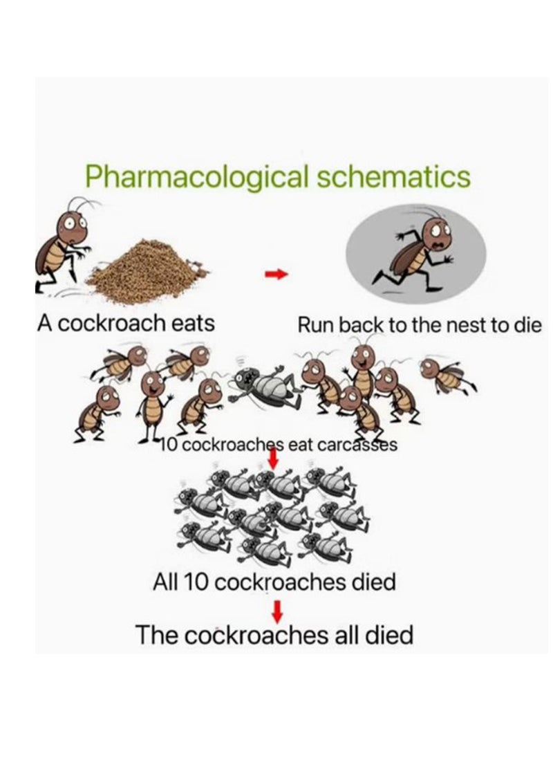 Miezhang Qing Cockroach Killer Powder 10 Pieces 8g  - Image 3