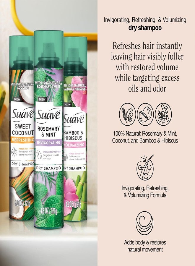 Suave Dry Shampoo Spray Variety 3-Pack – Invigorating Rosemary & Mint, Volumizing Bamboo & Hibiscus + Refreshing Sweet Coconut, 4.3 Oz Ea - Image 2