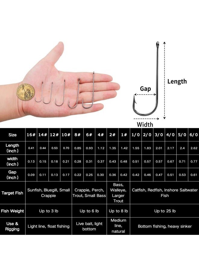 FishTrip Crappie Panfish Fishing Hooks-100pcs Aberdeen Hooks Long Shank Light Wire for Sunfish Small Bass Trout Freshwater Size 12# - Image 4