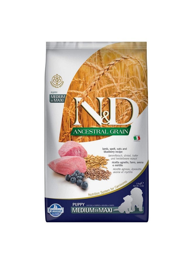 Farmina N&D Lamb & Blueberry Low-Grain Medium and Maxi Breed Puppy Food 5.5 Pounds - Image 1
