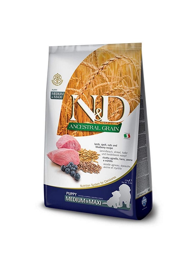 Farmina N&D Lamb & Blueberry Low-Grain Medium and Maxi Breed Puppy Food 5.5 Pounds - Image 2