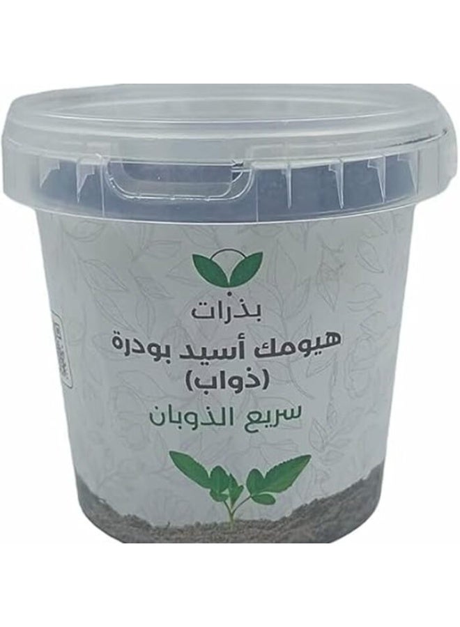 بذرات حمض هيوميك سريع الذوبان (500 جرام) - محسن تربة متكامل لمقاومة الملوحة والجفاف وزيادة الامتصاص. - Image 3