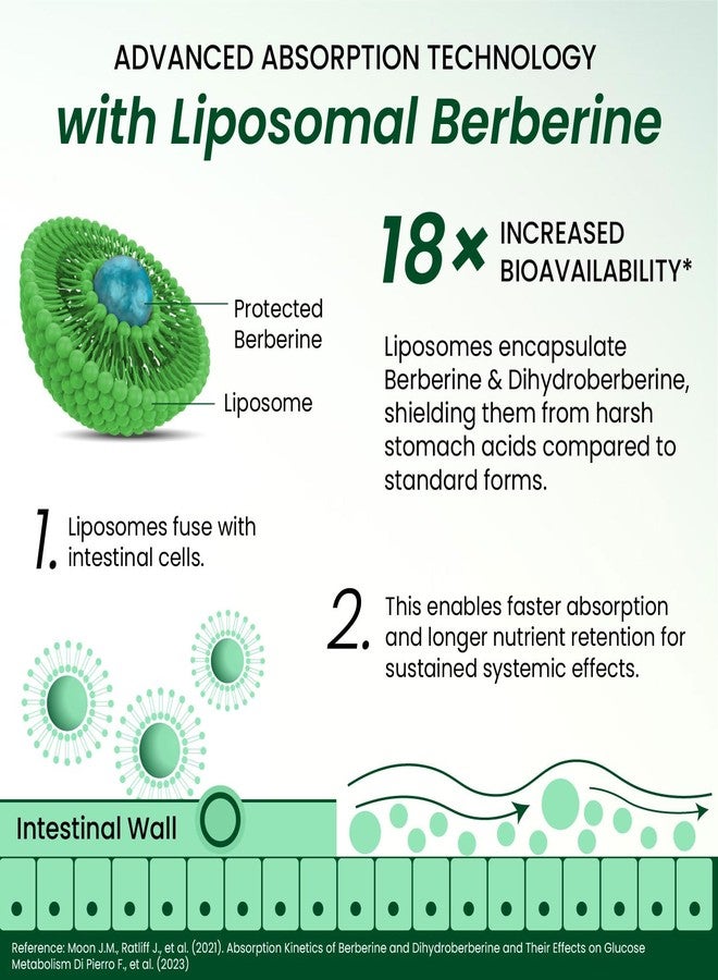 Himalayan organics Vlado's Himalayan Organics Liposomal Berberine HCL+ 1500mg+ with Piperine, Chromium , Bitter Melon, Bael, Gudmar & Vitamin B12 |For Metabolism, Hormonal Balance, Healthy Blood Sugar & Cholesterol Levels | 60 Veg Tablets - Image 3