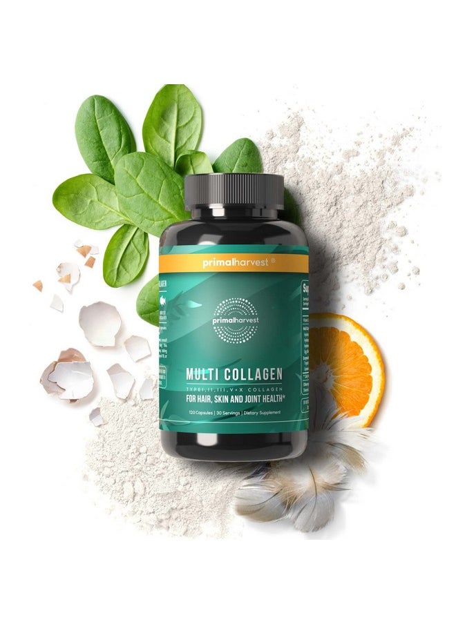 Primal Harvest Multi Collagen Pills For Women And Men (Type I Ii Iii V X) Collagen Supplements For Women And Men 120 Capsules W/Vitamin C For Hair Skin Nails Collagen Peptides Pills  - Image 3