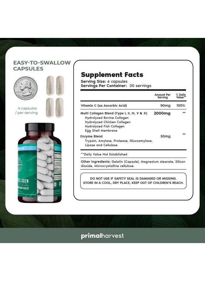 Primal Harvest Multi Collagen Pills For Women And Men (Type I Ii Iii V X) Collagen Supplements For Women And Men 120 Capsules W/Vitamin C For Hair Skin Nails Collagen Peptides Pills  - Image 5
