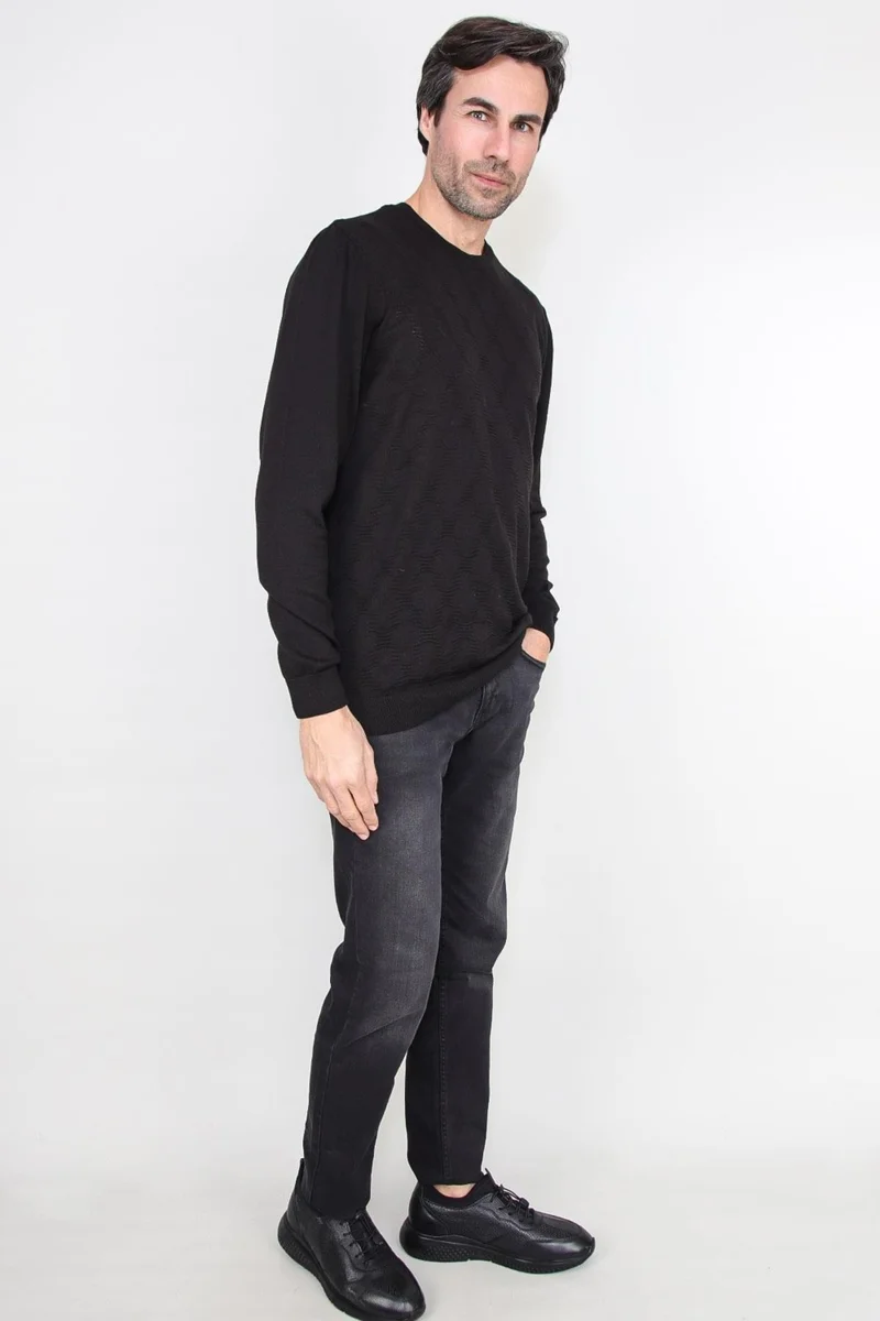 Alexander Gardi Crew Neck Jacquard Sweater (E20-511401)