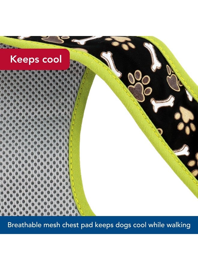 Coastal Pet Ribbon Designer Wrap Adjustable Dog Harness - Large & Small Dog Harness - Breathable Mesh Harness for Dogs Pet Supplies for Dogs - Brown Paws & Bones, 5/8" x 16-19" - Image 5