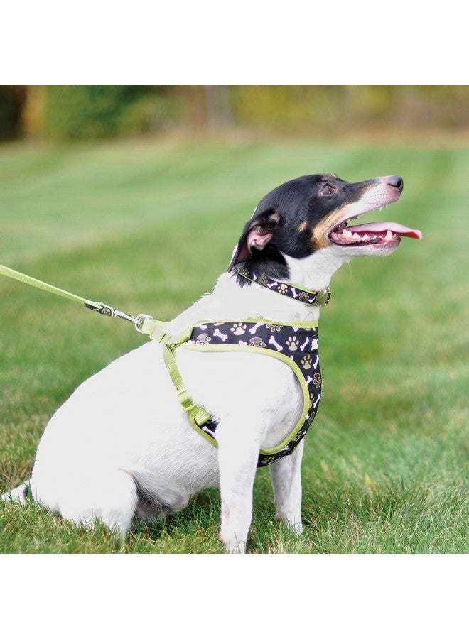 Coastal Pet Ribbon Designer Wrap Adjustable Dog Harness - Large & Small Dog Harness - Breathable Mesh Harness for Dogs Pet Supplies for Dogs - Brown Paws & Bones, 5/8" x 16-19" - Image 2