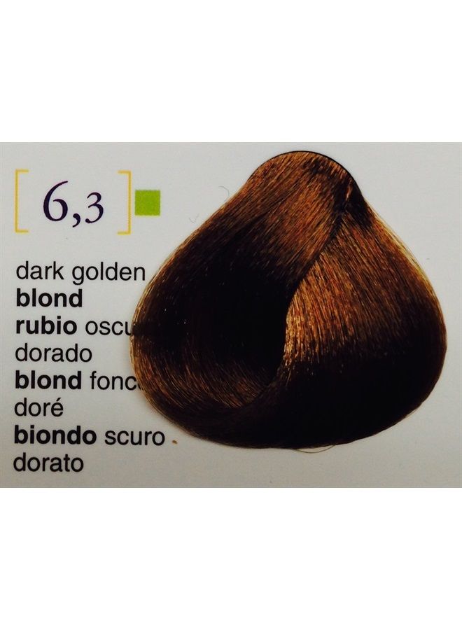 Salerm vision 6.3 Dark Golden Blond
