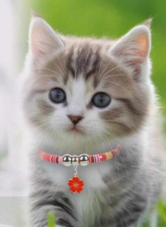 Flower Pet Necklace - Image 2