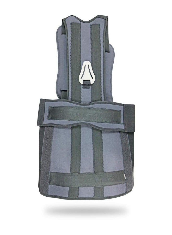 Samson Taylor Brace-(Short/Long)-Universal - Image 3