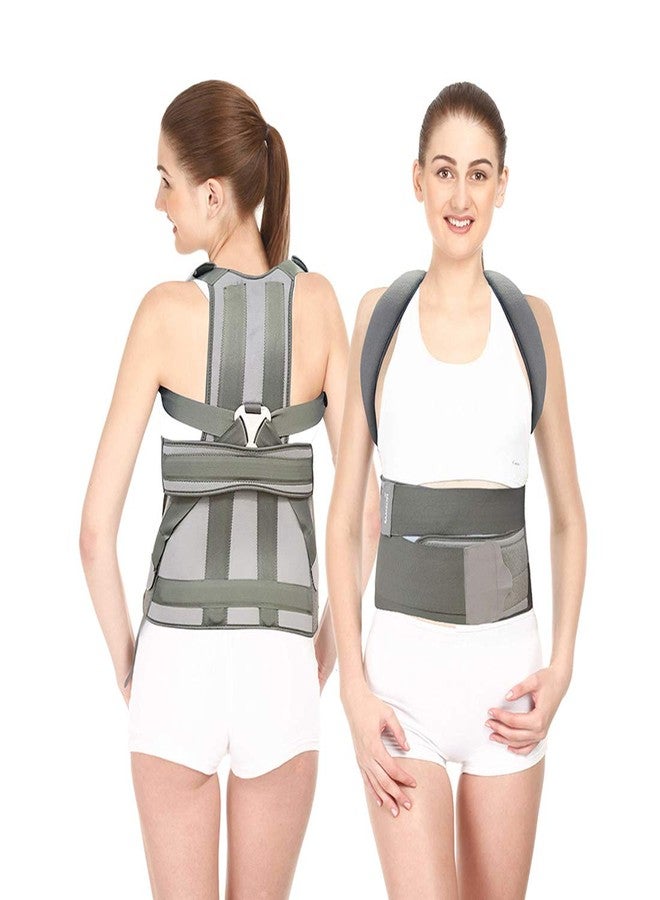 Samson Taylor Brace-(Short/Long)-Universal - Image 1