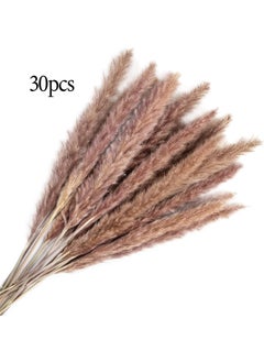 ماركة غير محددة 30 Pcs Small Reed Natural Dried Flower Bouquet Pampas Grass Wedding Decoration Home Decoration Store Decoration Party Decoration 