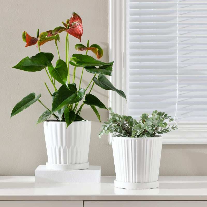 Ton Sin Plant Pots,White 6 Inch Flower Pots for Plants,Ceramic Planter with Drainage Holes,Indoor Planter Pots with Saucer,Outdoor Garden Pots (White, 4 Pack) - Image 2