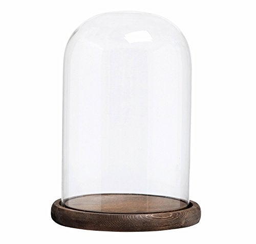 MyGift The Bell Jar Glass Cloche with Rustic Wood Base 10 Inch Tall Clear Decorative Glass Dome Display for Plants Curios Keepsakes Heirlooms - Image 1