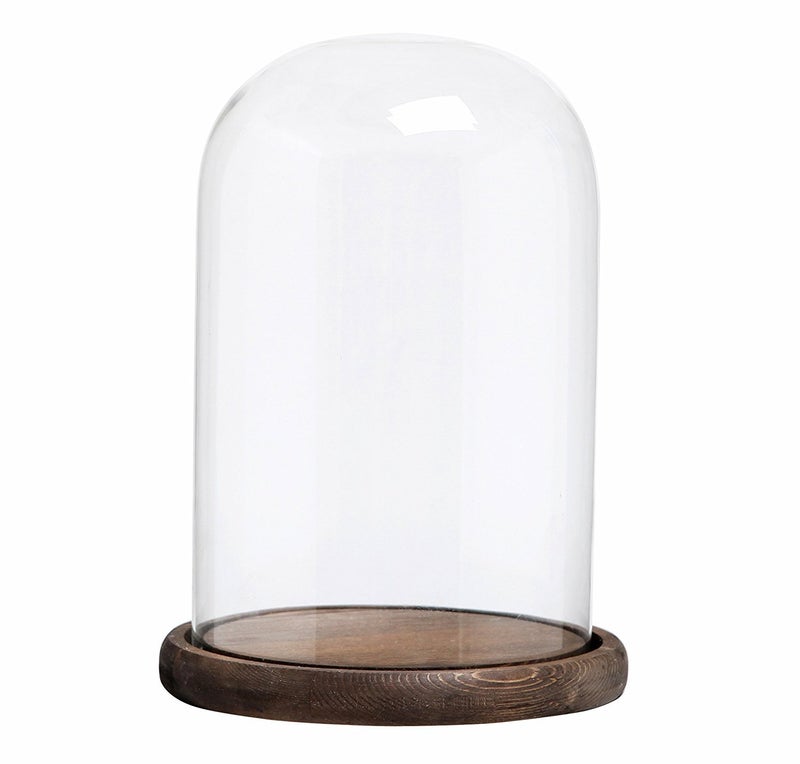 MyGift The Bell Jar Glass Cloche with Rustic Wood Base 10 Inch Tall Clear Decorative Glass Dome Display for Plants Curios Keepsakes Heirlooms - Image 2