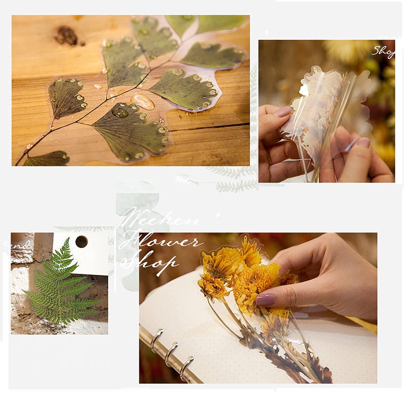 MAXLEAF Transparent Waterproof Stickers Set - 48PCS Vintage Plants Flowers Collection Big Size Waterproof Stickers for Decoration Planners Scrapbook Laptops (Dried Flowers) - Image 5