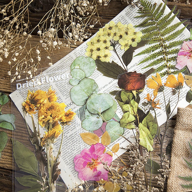 MAXLEAF Transparent Waterproof Stickers Set - 48PCS Vintage Plants Flowers Collection Big Size Waterproof Stickers for Decoration Planners Scrapbook Laptops (Dried Flowers) - Image 2