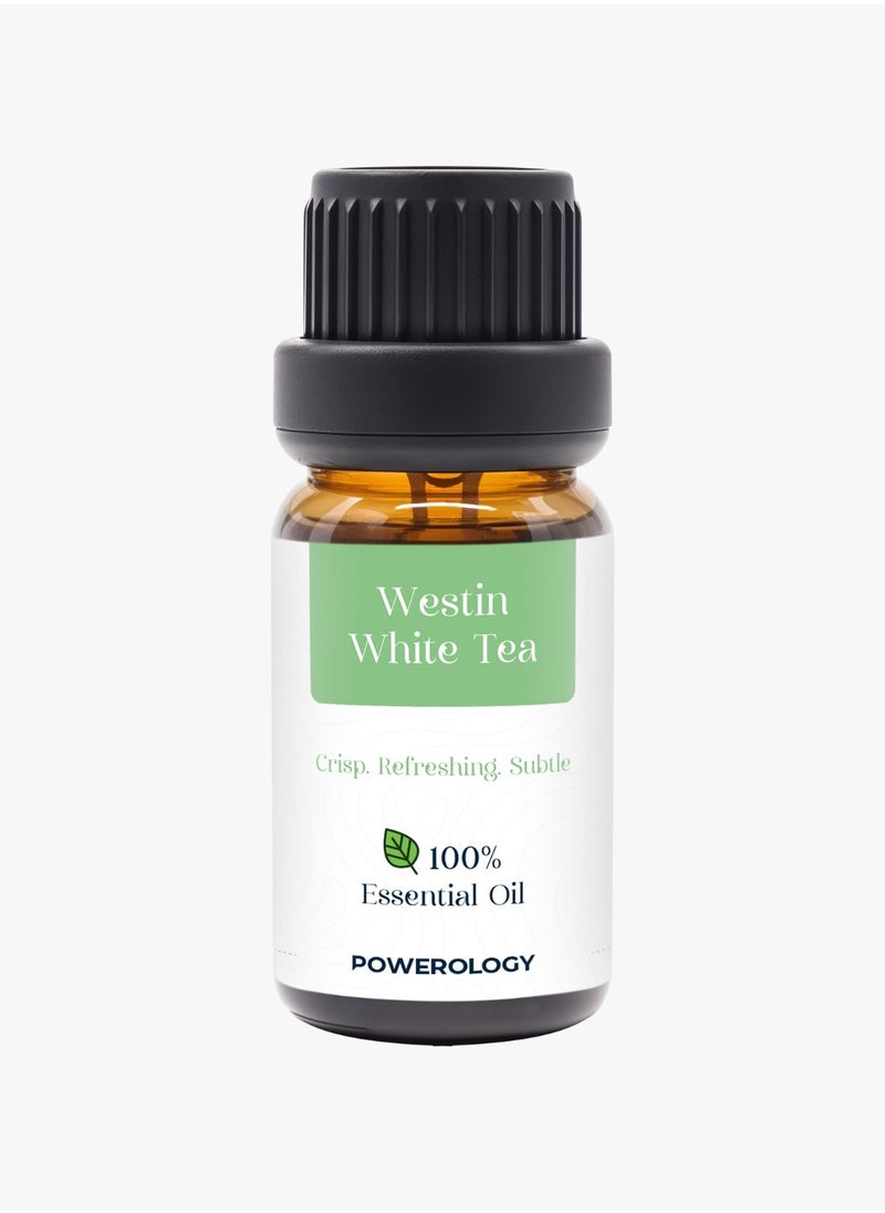 Powerology Luxury Premium Fragrance Oils with No Additives & Chemical-Free / Ambient Relaxation / Inversion of Paris / English Pear & Freesia / Sheraton / Westin White Tea / Hilton - Multi Color  - Image 4