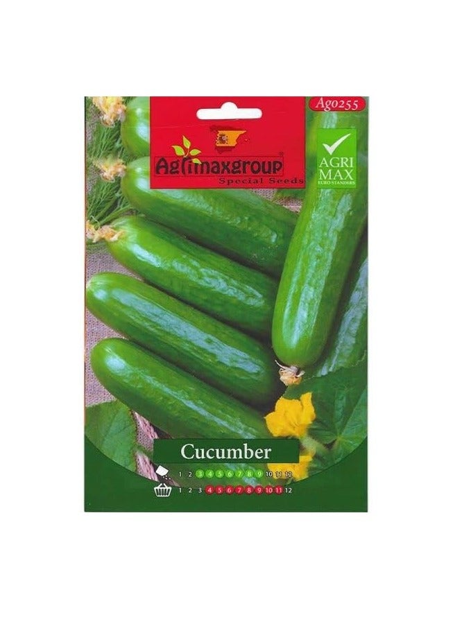Generic Cucumber Premium Quality Seeds by Agrimaxgroup®"Garden Care" 