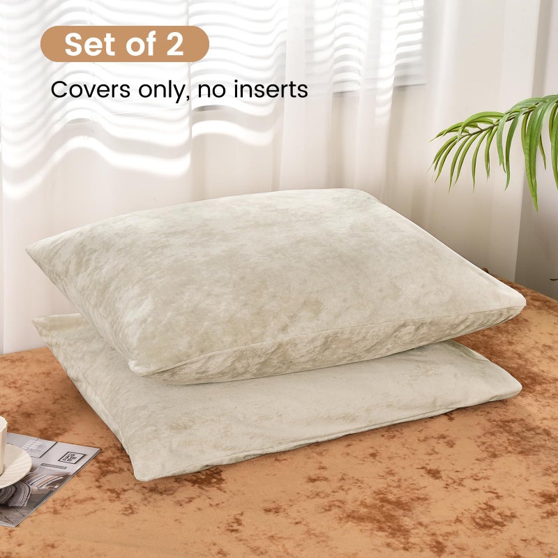 PHF PHF Truly Velvet Pillowcases Standard Size  No Insert  2 Pack Ultra Soft Breathable Pillow Shams Covers with Envelope Closure  20"" X 26"" Luxury Cozy Warm Fuzzy Flannel Pillow Cases  Sand  - Image 3