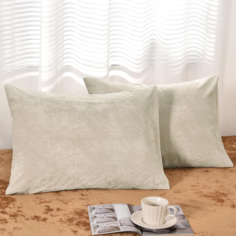 PHF PHF Truly Velvet Pillowcases Standard Size  No Insert  2 Pack Ultra Soft Breathable Pillow Shams Covers with Envelope Closure  20"" X 26"" Luxury Cozy Warm Fuzzy Flannel Pillow Cases  Sand  - Image 1
