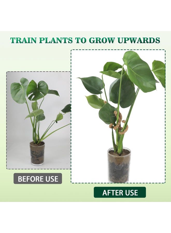 RSSCIIIUL 2PC Plant Climbers Stem Holders - Image 5