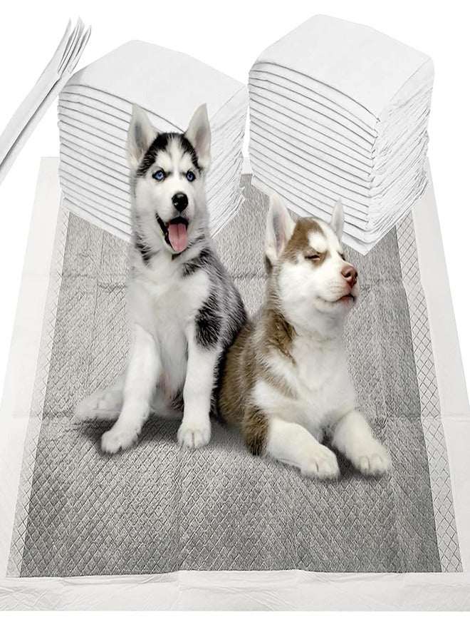 Generic 40 Pcs Dog Pads Leak Proof Training Puppy Pad With Quick Dry Surface Disposable Regular Charcoal Potty Cage Liner Super Absorbent Odor Control For Small Dogs Rabbits Hamster(L,60*60  CM) - Image 1