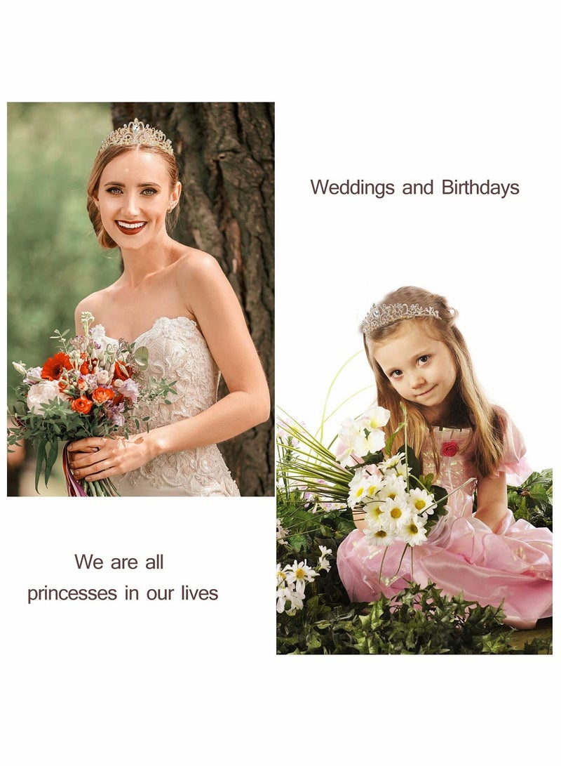 واي آند دي Birthday Crowns, Tiaras and Crown for Women, Tiara Women Queen, Sash Rhinestone Queen with Girl Sash, Princess Tiara, Golden - Image 3
