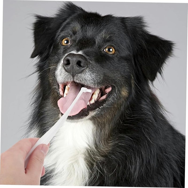 BESPORTBLE Dog Toothbrush Soft Bristle Long Handle Single Head Design for Daily Teeth Cleaning - Image 3