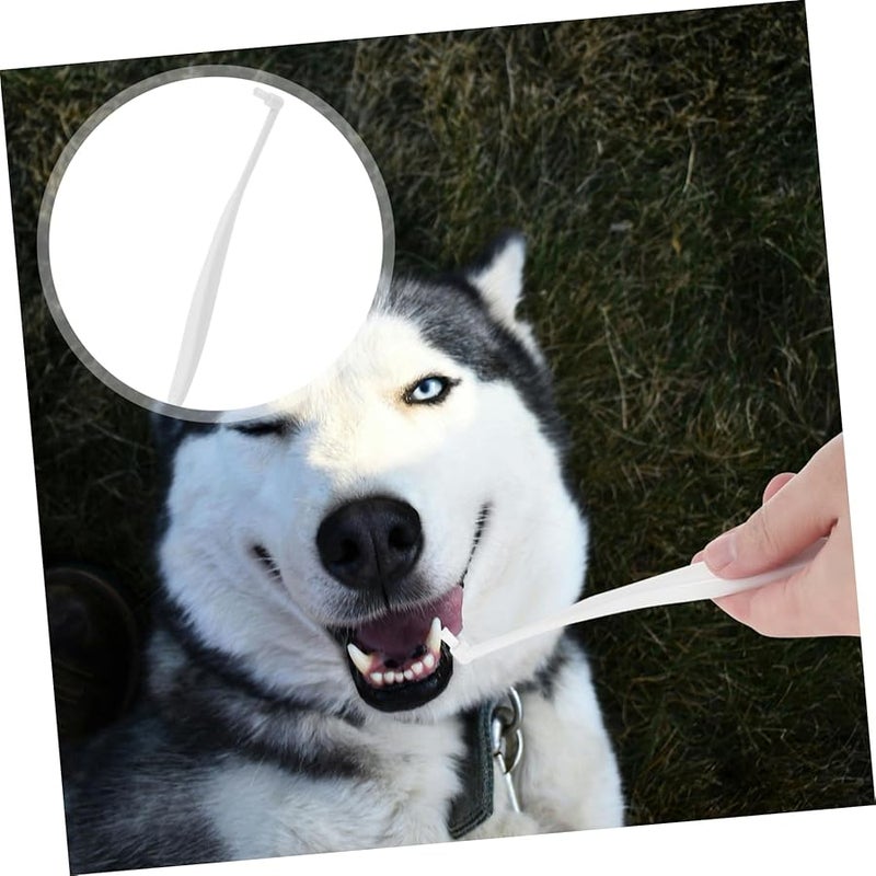 BESPORTBLE Dog Toothbrush Soft Bristle Long Handle Single Head Design for Daily Teeth Cleaning - Image 4