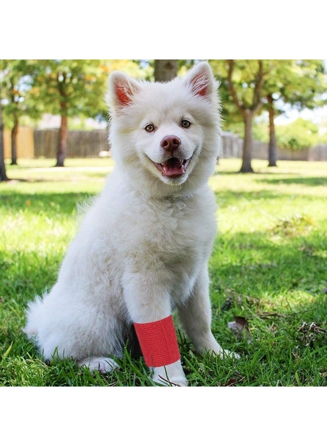 Juvale 24 Rolls Colorful Self Adhesive Bandage Wrap 3 Inch x 5 Yards - Cohesive First Aid Tape for Sports, Vet, Medical, Tattoo (12 Colors) - Image 4