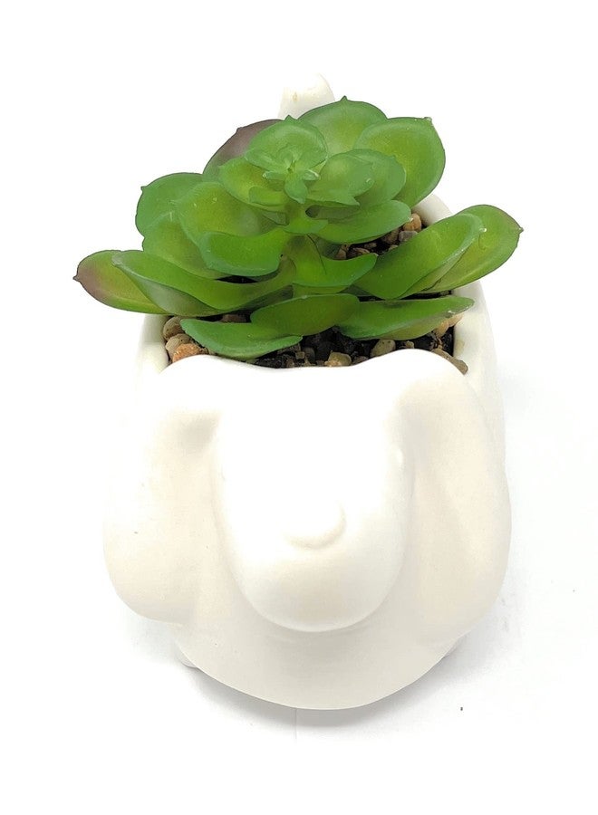 Nature's Mark 4.3" H Succulent in Dog White Ceramic Planter, Modern and Simple Stylish Design Artificial Plants - Image 3