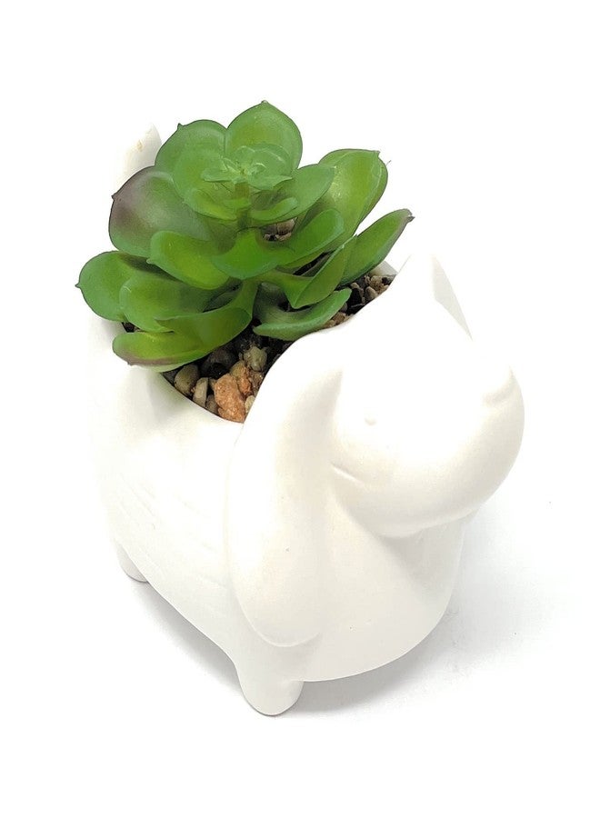 Nature's Mark 4.3" H Succulent in Dog White Ceramic Planter, Modern and Simple Stylish Design Artificial Plants - Image 2