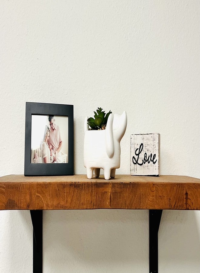 Nature's Mark 4.3" H Succulent in Dog White Ceramic Planter, Modern and Simple Stylish Design Artificial Plants - Image 5