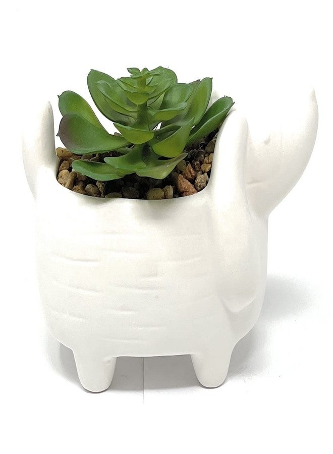 Nature's Mark 4.3" H Succulent in Dog White Ceramic Planter, Modern and Simple Stylish Design Artificial Plants - Image 1