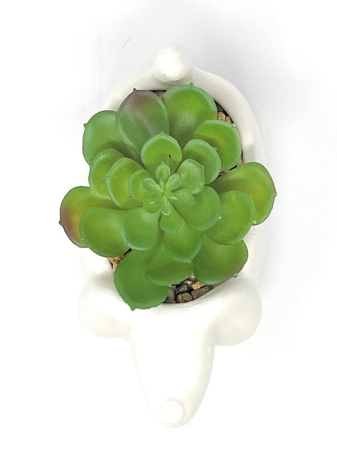 Nature's Mark 4.3" H Succulent in Dog White Ceramic Planter, Modern and Simple Stylish Design Artificial Plants - Image 4