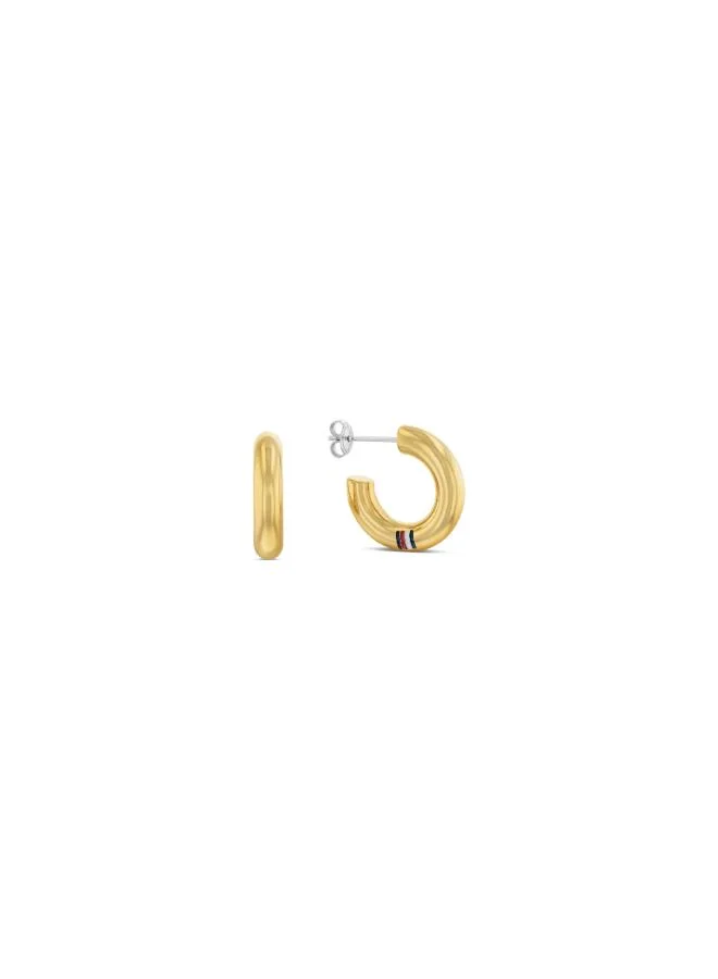 Women's Gold Stainless Steel Hoop Earrings