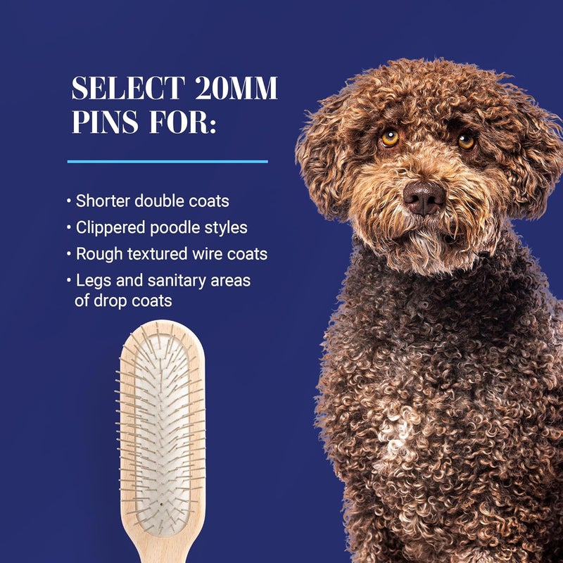 Chris Christensen 20 mm Oblong Pin Dog Brush - Professional Grooming Tool with Stainless Steel Pins and Beech Wood Handle - Image 5