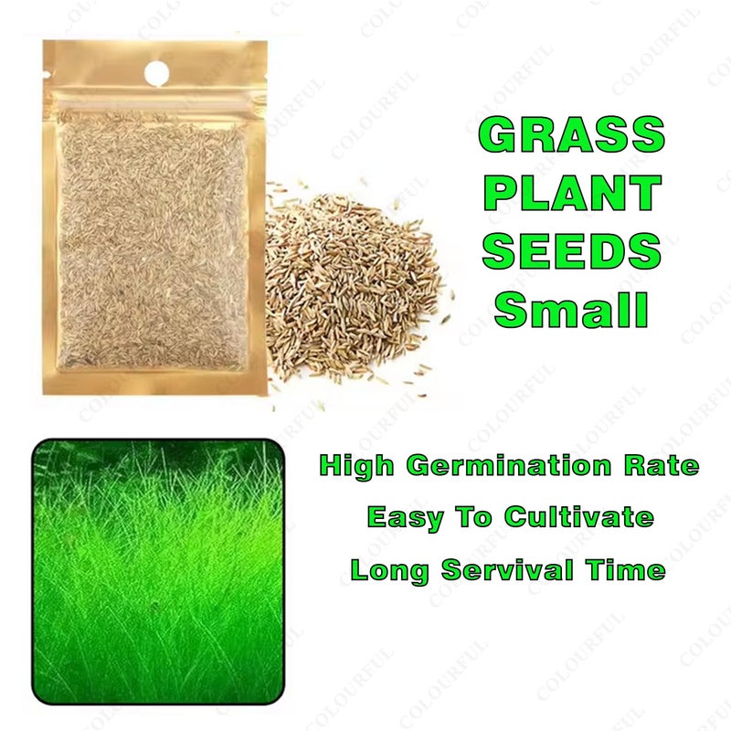 colourful - Planted Aquarium Black Soil Substrate for Fish Tank | Live Planted Aquarium | Plant Seeds (950g Aquarium Soil, Small Grass Seed) - Image 2