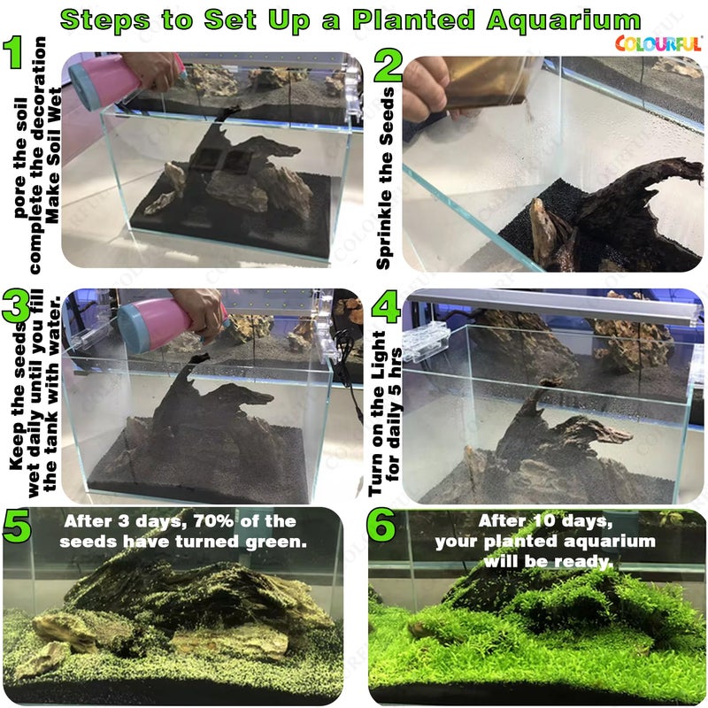 colourful - Planted Aquarium Black Soil Substrate for Fish Tank | Live Planted Aquarium | Plant Seeds (950g Aquarium Soil, Small Grass Seed) - Image 4