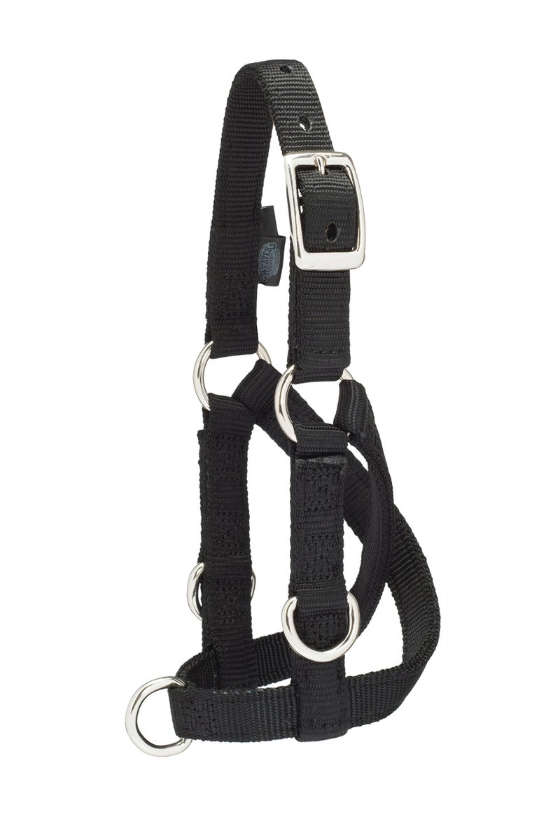 Weaver Leather Livestock Sheep & Goat Training Halter, Small, Black - Image 3